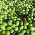 Olives