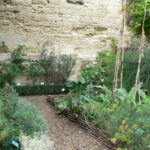 Le Jardin Médiéval - l'hortus