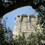 Le Jardin Médiéval - tour du roi
