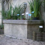 Le Jardin Médiéval - la fontaine