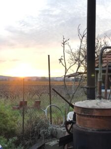Appareil de distillerie en extérieur avec un paysage sur les vignes