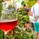 Dégustation d'une cuvée en rosé de Tavel en extérieure au Château de Manissy