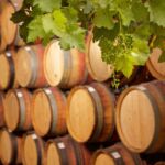 Les fûts du domaine dans la cave de vinification