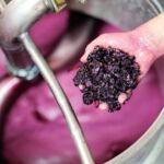 Une main avec le marc de raisin au dessus d'une cuve en inox avec du vin qui se vinifie