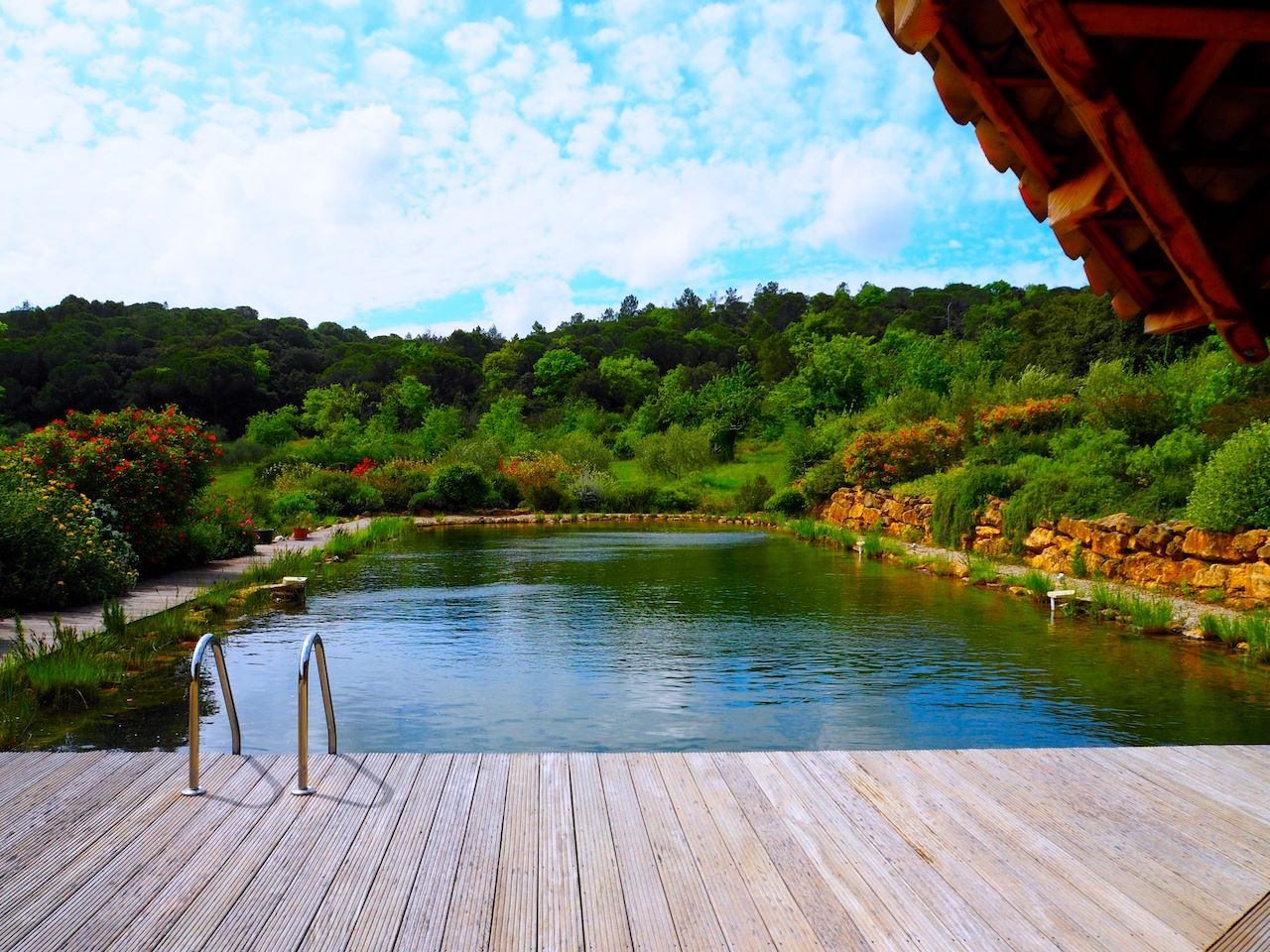Bassin de baignade naturel collectif avec aucun vis à vis