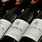 La cuvée en rouge Sol et Sens Laudun dans le caveau de vente